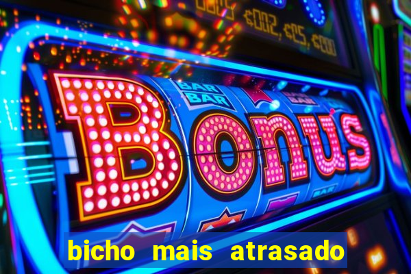 bicho mais atrasado na bahia